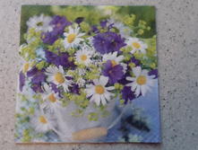 33�33 - 15 ���.