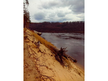 IMG 20170424 151906.jpg