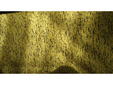 IMG 20170426 073705.jpg