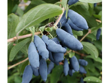 .�������� ������� 1�� 140�.jpg