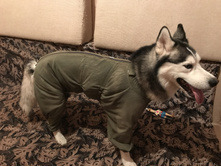 ����� �����.JPG