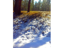 IMG 20170401 090919-1.jpg