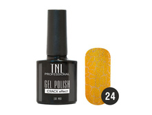 162 ���. - ����-��� "TNL - � �������� �������������� "Crack " ?24 - ������ (10 ��.)