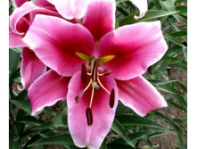 ����� �������� 18/20 (1��) ��-������-56,72.jpg