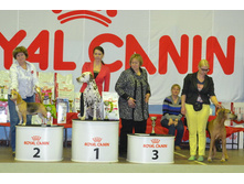 DSC 0273006��.jpg