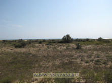 �� ������� ������ ��������