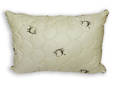 ������� 50X70 "������ ���" ������� (���) 634,00 ���.