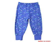 4484 ����� �� �����.jpg