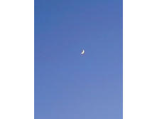 IMG 20170401 184604.jpg