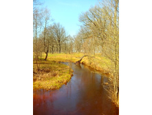 IMG 20170430 100444.jpg