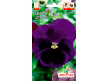 ����� �����, ����� ��������!