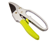 293 ���. - INBLOOM ������� ������� ���������, �����, ����� �� ��������, 20,5��