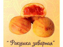 ������� �������� (��� �������) 2 �� ��� - 153,60 ���