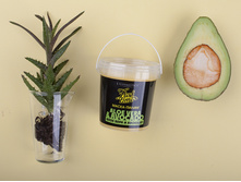 Aloe-i-avakado.jpg