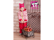 1155 ���. - ������ ��� ������� 231G16