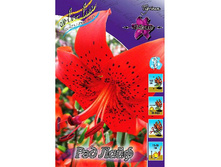 ����� ��� ����.jpg