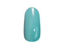 216 ���. - ����-������ ��� ������� "TNL" ?29 (���������), 8 ��.