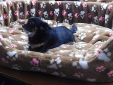 �� 1010 ��� - ����� ��� ������� �����