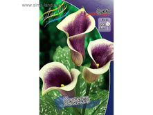 ����� �������.jpg