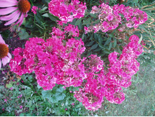 ����� . �������� ����� �������