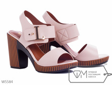 ��������� W5584