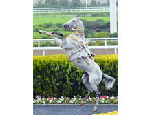 Konkurs ahaltekincev beghan.jpg