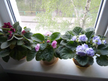 20160506 181958.jpg