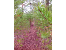 IMG 20170408 131931.jpg