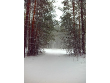 IMG 20170420 122808.jpg