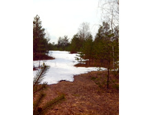 IMG 20170408 123205.jpg