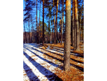 IMG 20170401 092018.jpg