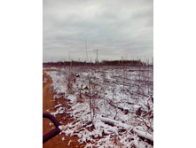 IMG 20170415 154216.jpg