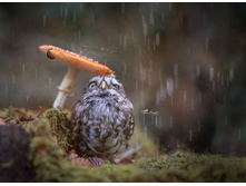 ���� ��� ������ � �����