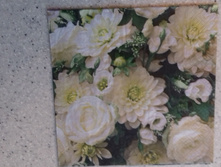 33�33 - 15 ���.