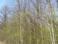 IMG 20170430 115609.jpg