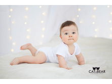 ���� ���������� 183 ���