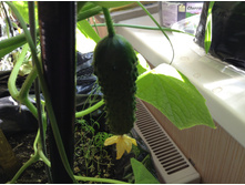 �������� ������-  ������ �������  10 �����