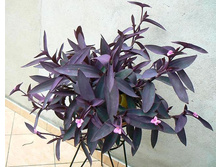 ���������� ���������.jpg