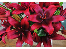 ����� ��������� 16/18 -26,78. �������� 4��