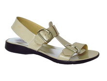 264 �������