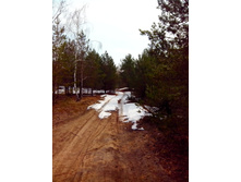 IMG 20170408 122248.jpg