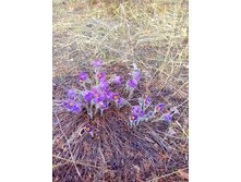 IMG 20170429 164319.jpg