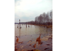 IMG 20170408 130824.jpg