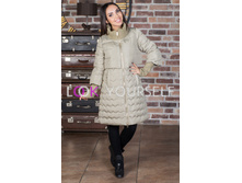 ������ 1631. 1500�