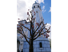 ����������, ������� ��. ���������