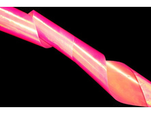 31 ���. - ������ "TNL - ����� ������" ?6 (�������)