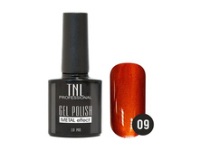 162 ���. - ������� ����-��� "TNL - Metal" ?09 - ���������-������ �������� (10 ��.)