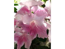 IMG 20170401 100829.jpg