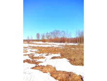 IMG 20170404 150918.jpg