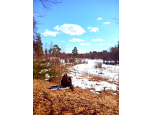 IMG 20170401 102424.jpg